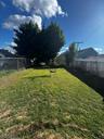 BACK YARD IMAGE