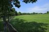 Partially wooded