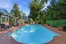 Gunite Saltwater Pool