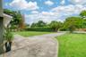 10-foot Viburnum Hedges for Privacy