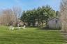 View of green lawn