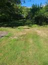 Backyard facing the home