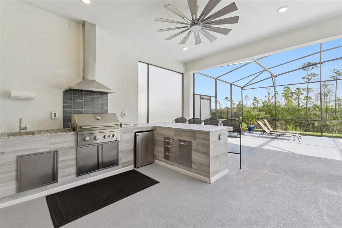 Outdoor Kitchen and Screen Patio