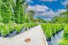 View of property's community with a garden