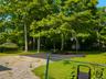 back yard - ai enhanced