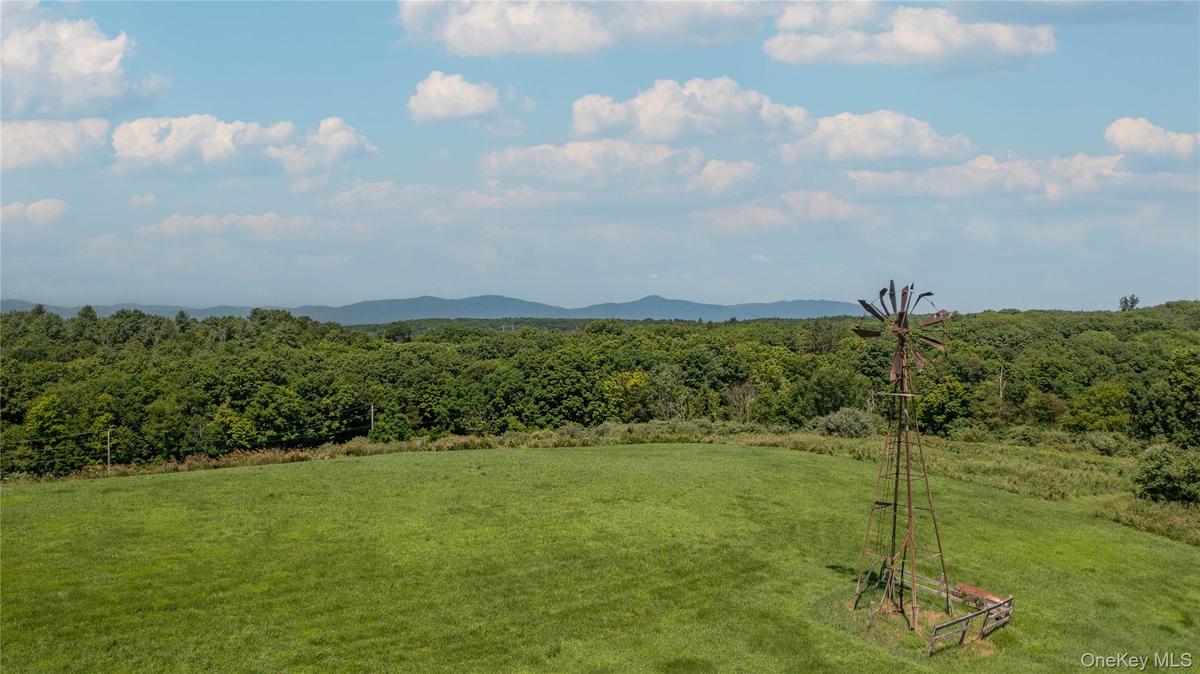 View of mountain backdrop with a heavily wooded area