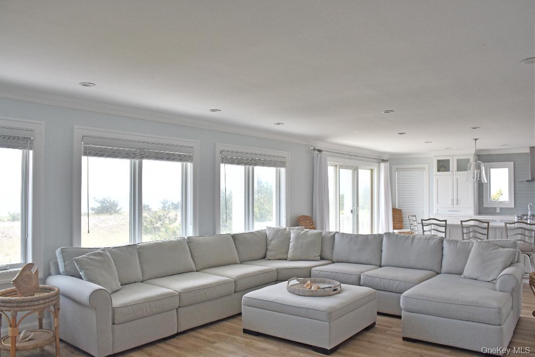 Living room featuring light hardwood / wood-style flooring, a wealth of natural light, and ornamental molding