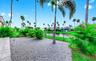 Pond view