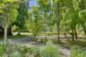 path through garden