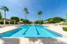 Lap pool