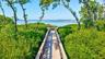 Nature Walk