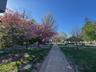 Wilmore Park