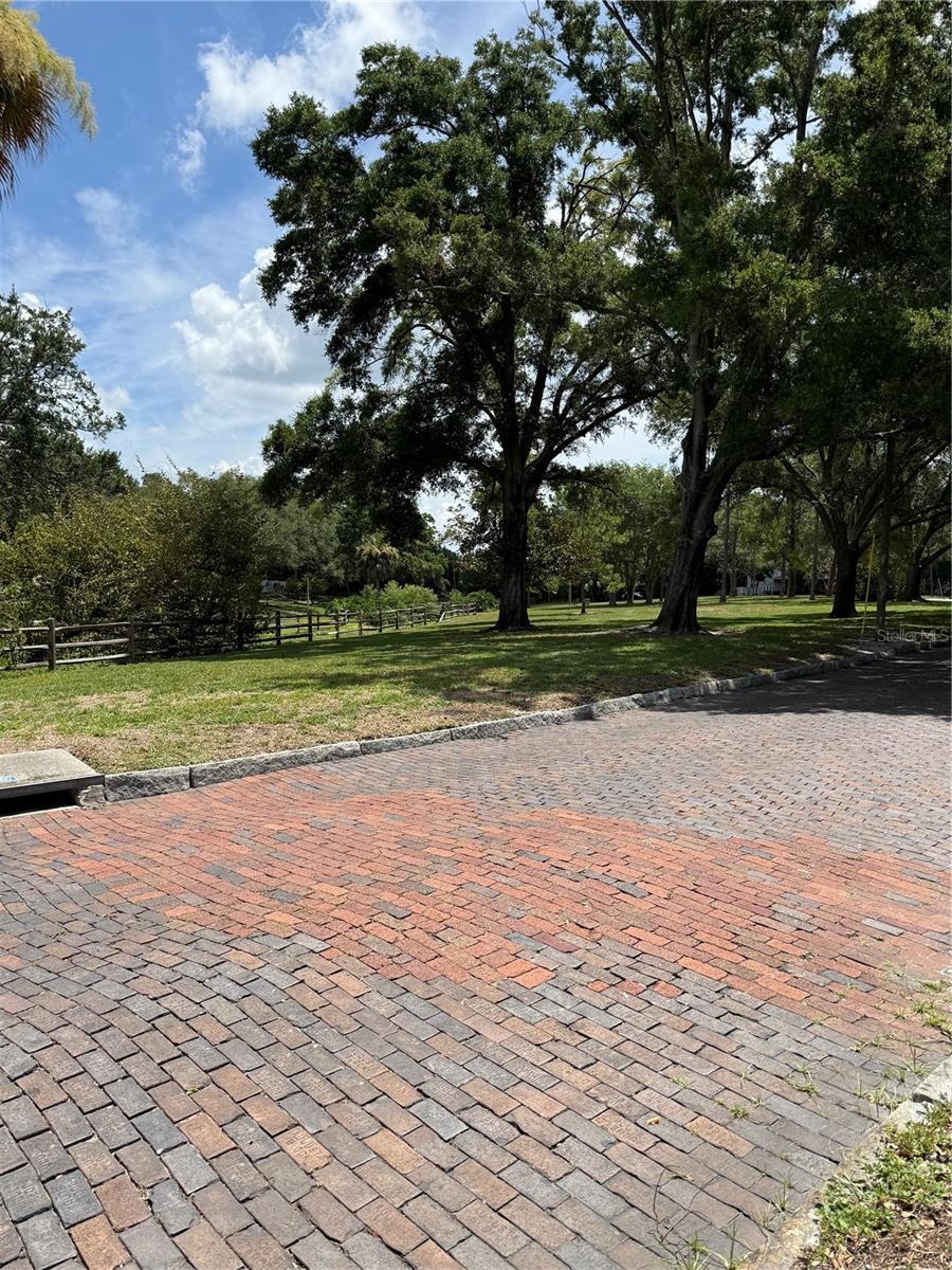 Quiet cobblestone street