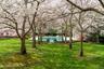 Lush green lawn framed by mature trees, leading to a large in-ground swimming pool