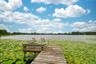 Lake Mary Jess