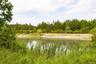 Wetlands pond different view