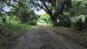 Walking Trail