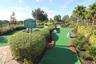 Play Mini Golf