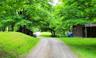 Gravel driveway with lush green lawn and mature trees