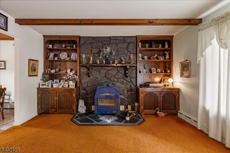 Wood Burning Stove