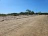 Huge Expanse of Sandy Beach