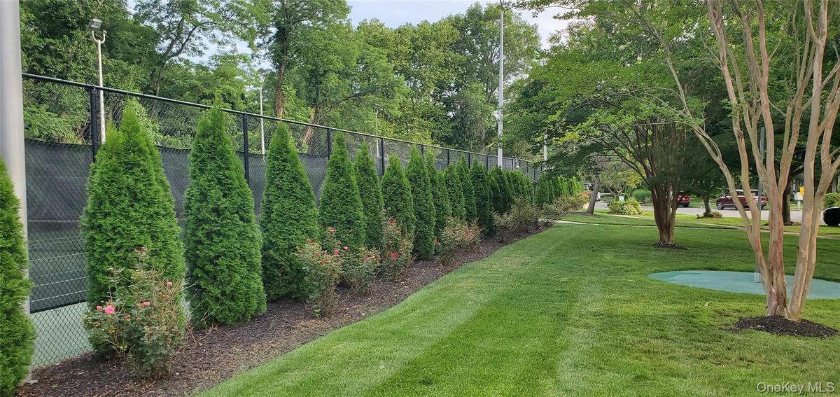 Lighted Tennis courts