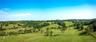 21 fields.