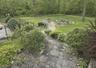 Side yard