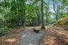 Peaceful Garden Area