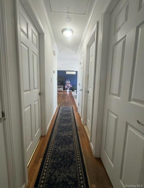 Hallway featuring wood-finish flooring, white paneled doors, and a flush-mount ceiling light