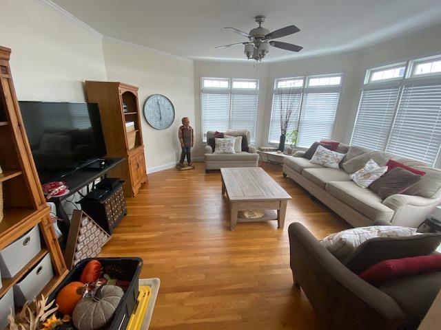 Living room with light hardwood / wood-style floors, ceiling fan, and crown molding