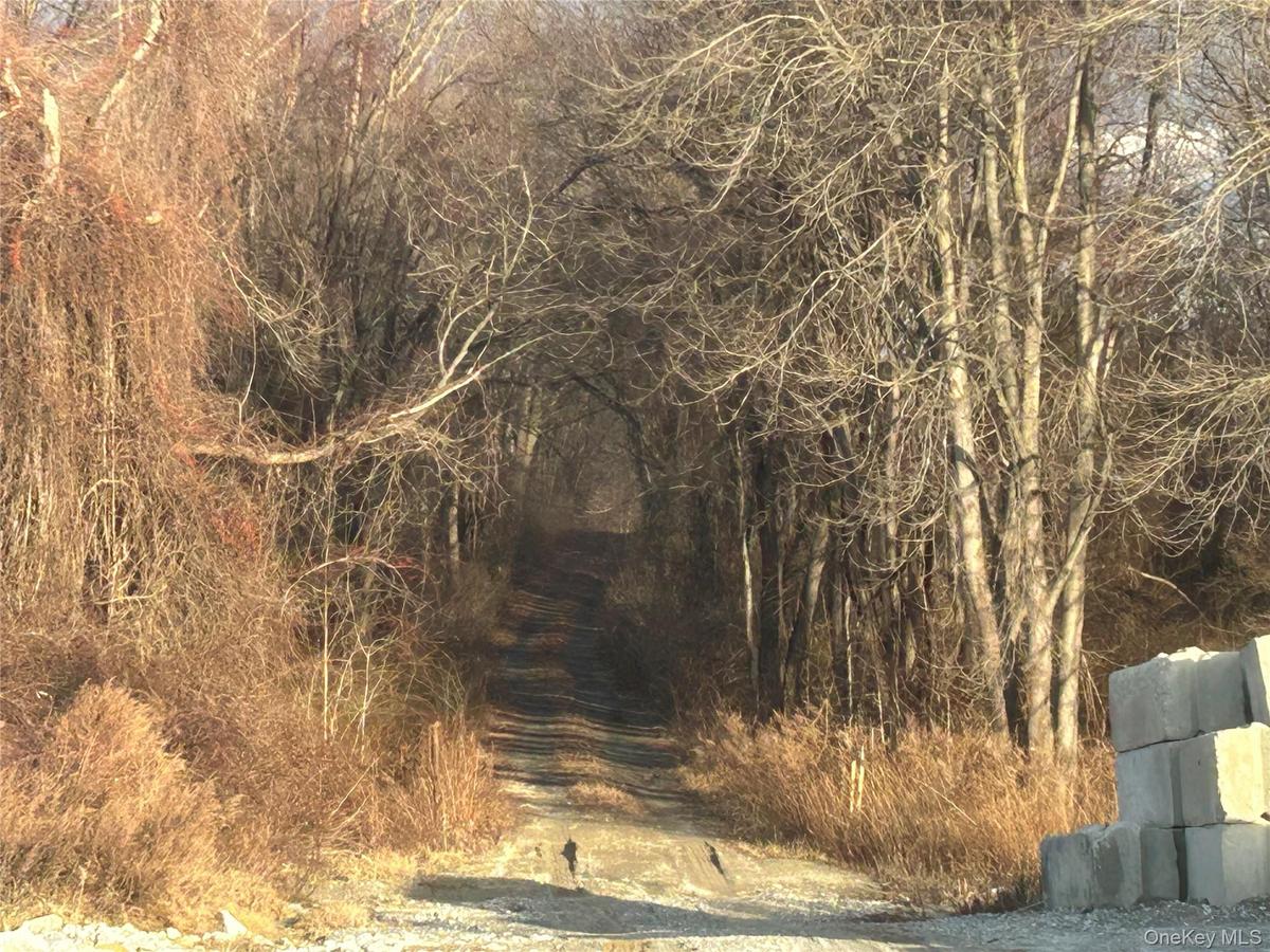 View of nature