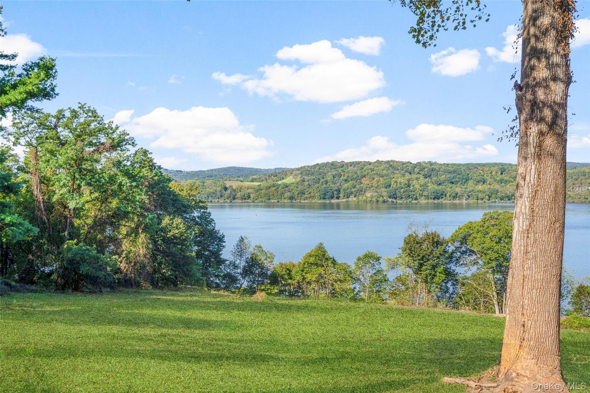 Water view with a forest