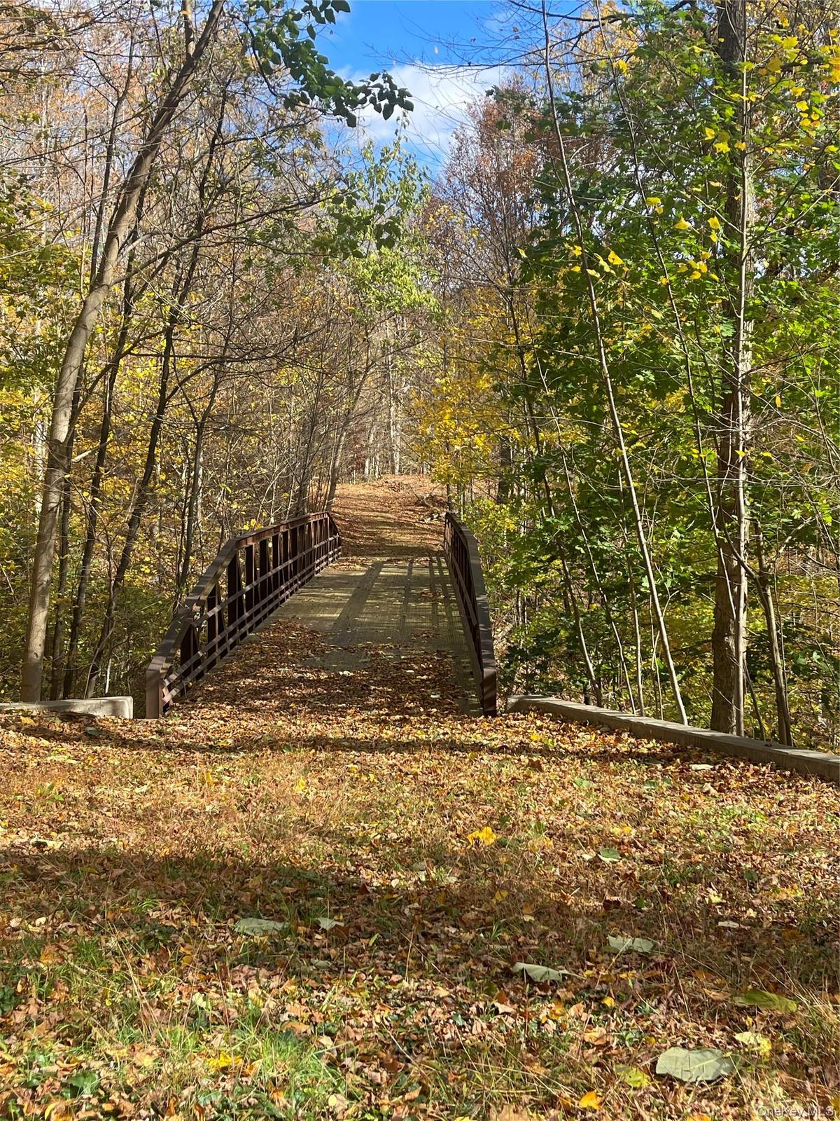 Pivate driveway leads to bridge over waterfall and beyond to building envelope