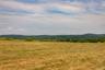 Another view of the large possible house site area