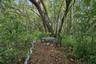 Peaceful Garden Seating Area
