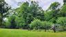 Expansive green lawn with mature trees bordering the perimeter