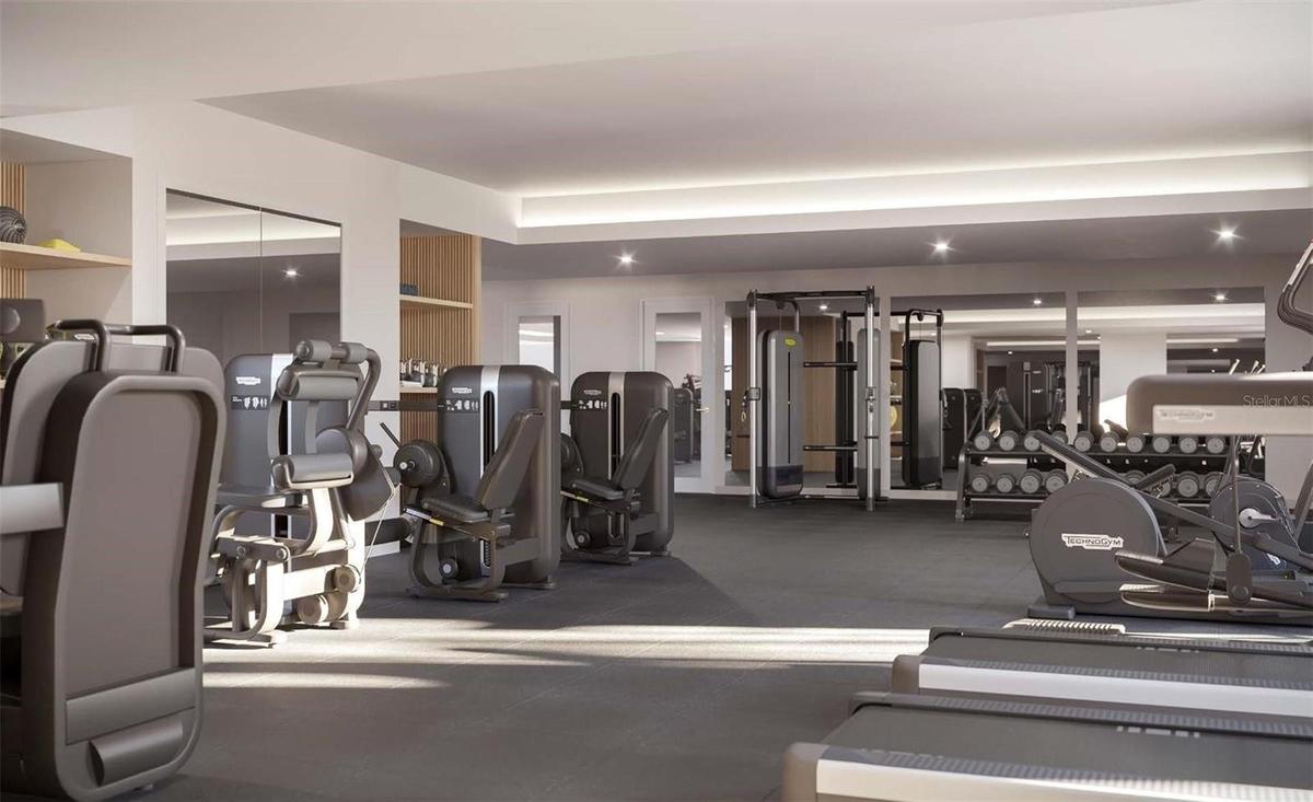 Artist Rendering Fitness Room