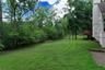 Backyard Privacy