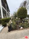 Landscape p1