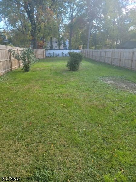 Large backyard