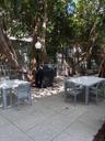 BBQ Area
