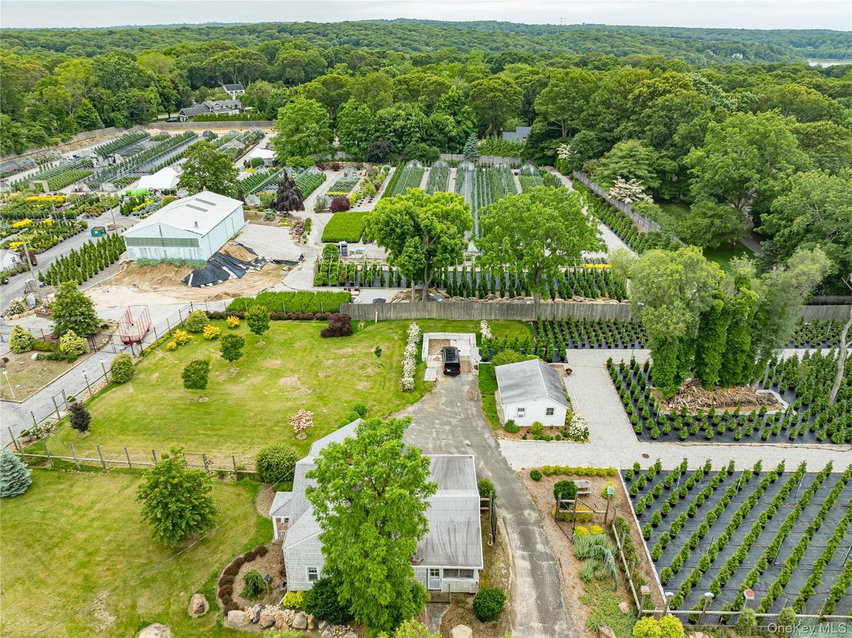 Aerial view of a forest