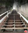 Adelaide Canyon Stairs