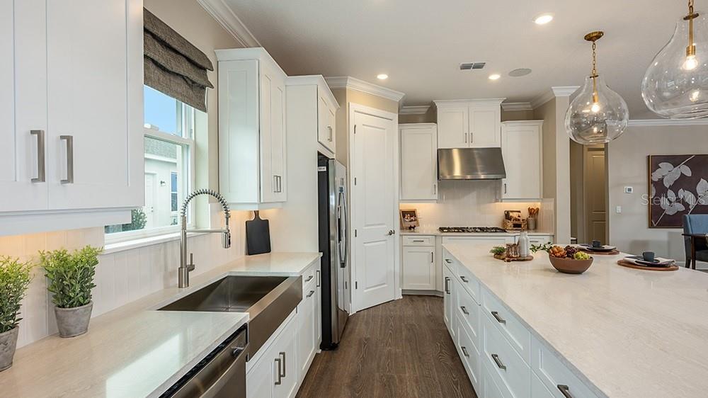 1003 Tassleflower Trail - Model Home Leaseback