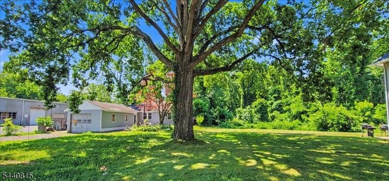 Beautiful Lawn
