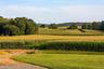 Farm Fields at Crest Lane