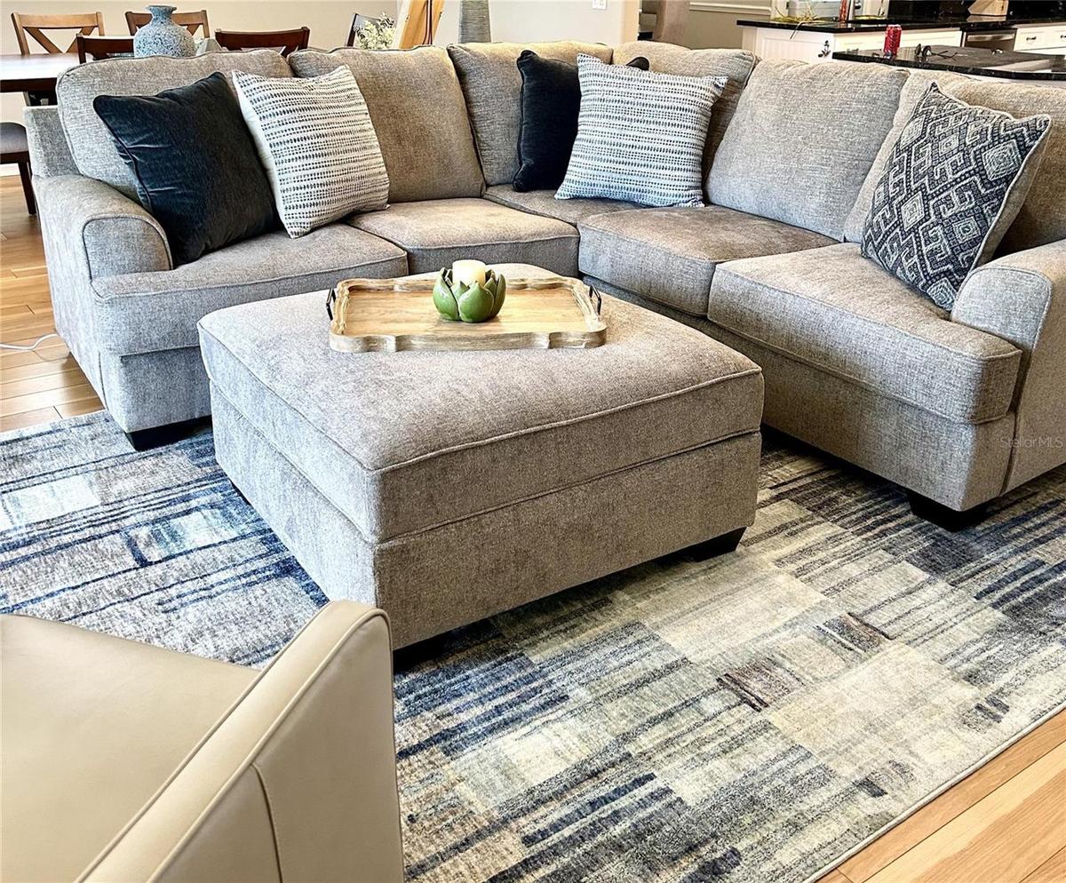 COMFORTABLE SEATING IN LIVING ROOM
