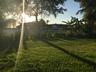 Large backyard for children and pets (pic taken before Clusia hedge matured).