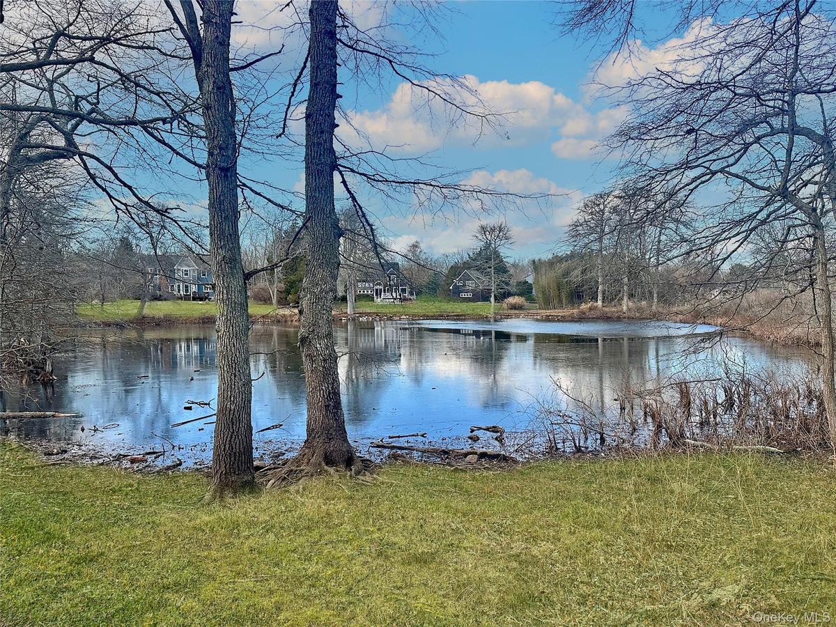 Water view